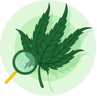 Cannabis App Development Services